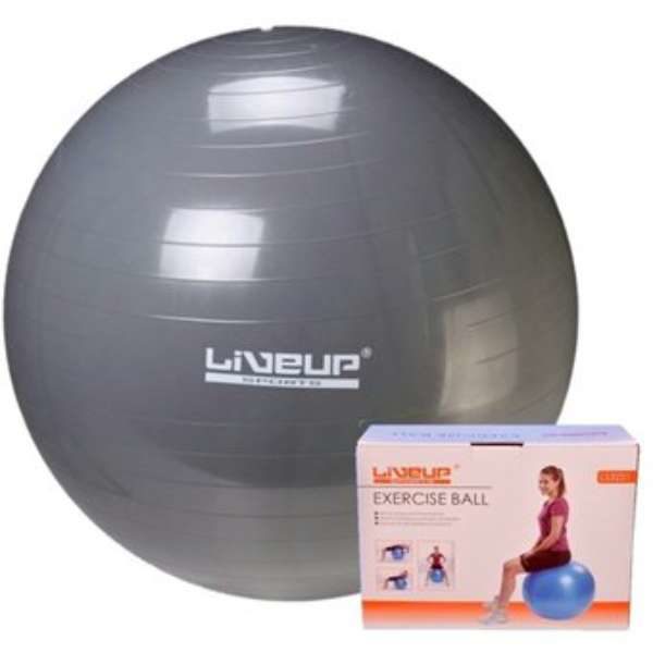 Liveup Exercise Ball Swiss Ball Gym Ball 65 cm